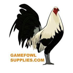 gamefowl supplement|mexican gamefowl supplies.